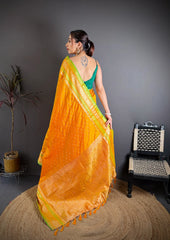 Orange Saree back pallu spread – KS373