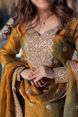 Olive Green Chiffon Suit