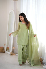 Pista green suit with lace border dupatta - side pose