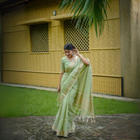 Pista Zari Work Soft Banarasi Silk Saree