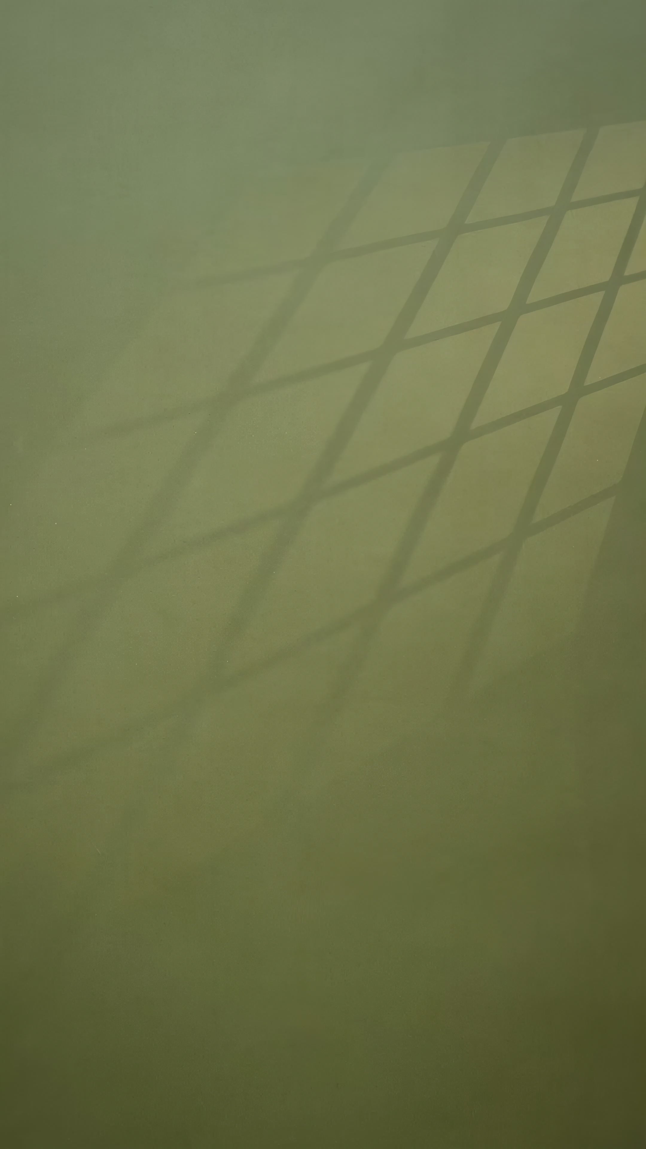A woman models an elegant Beige Soft Muga Cotton Saree. The saree features large Kalamkari-style prints of peacocks and florals in a contrasting Soft Lavender Blue on the pallu. She wears a sleeveless lavender blouse and accessorizes with a gold and pearl Kundan choker necklace, posing indoors.