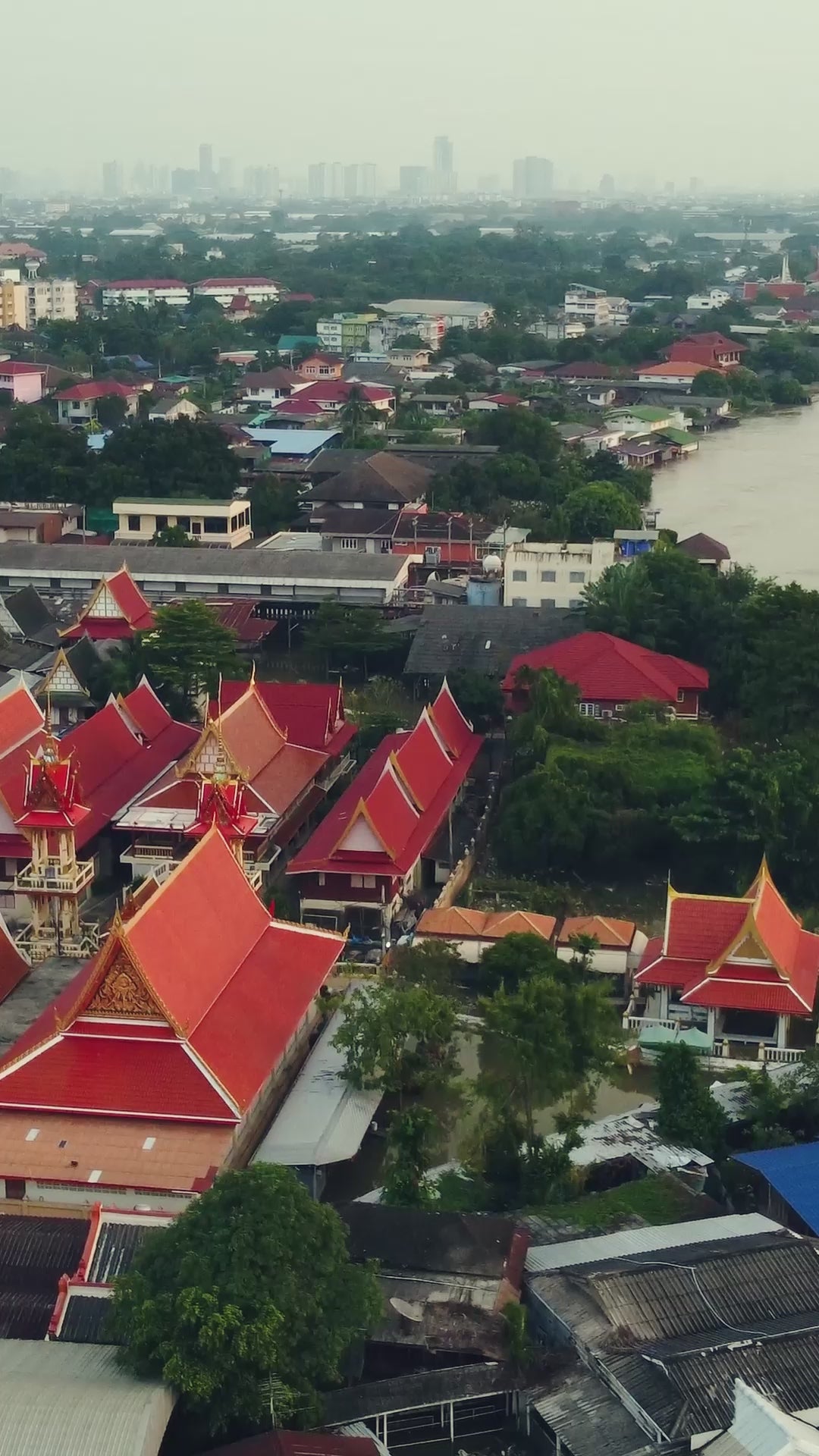 Green Banarasi Silk Zari Weaving Saree