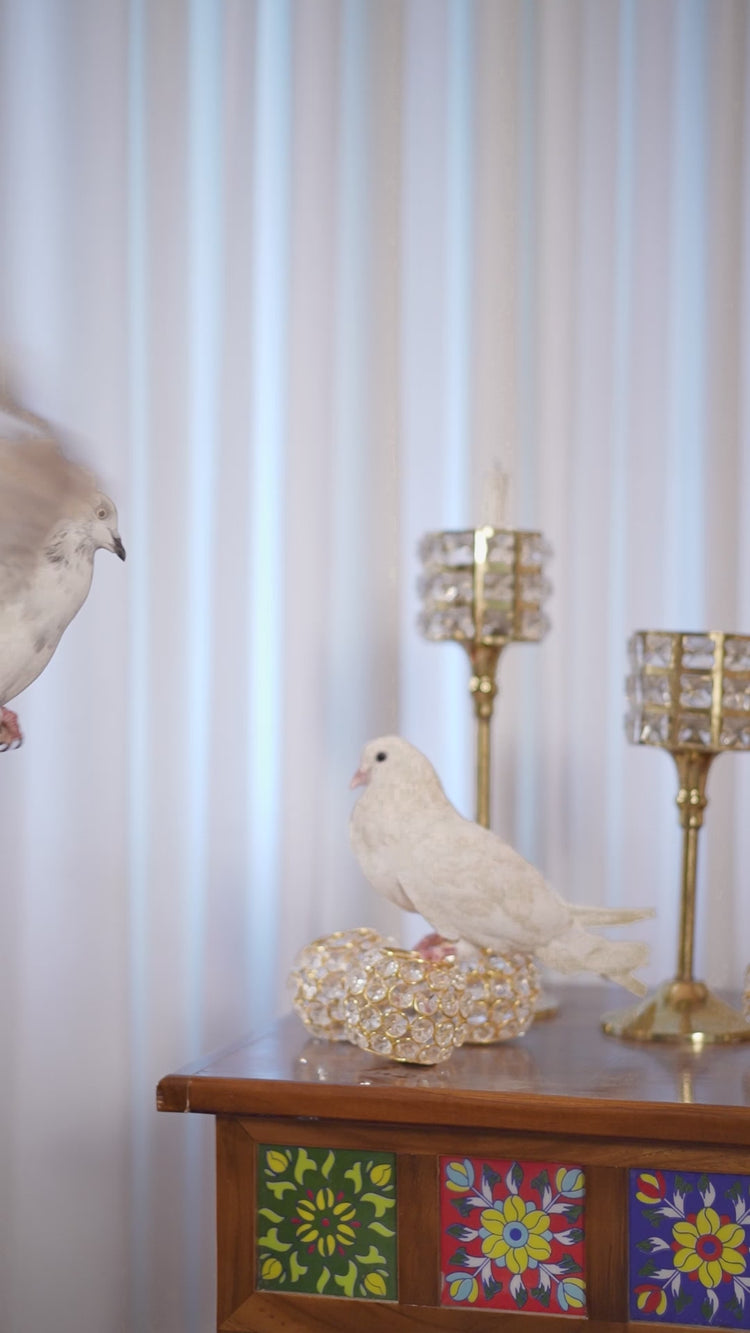 Navy Blue Sequins Embroidery Viscose Velvet Suit